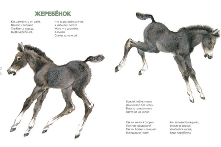 Вот они какие. Лифшиц Владимир