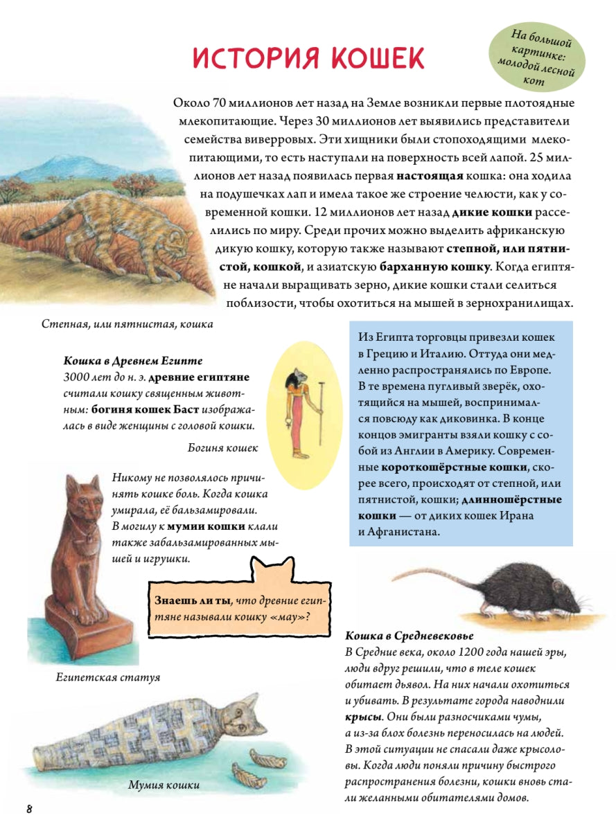 Моя самая красивая книга о кошках и собаках. Сюзанна Риха