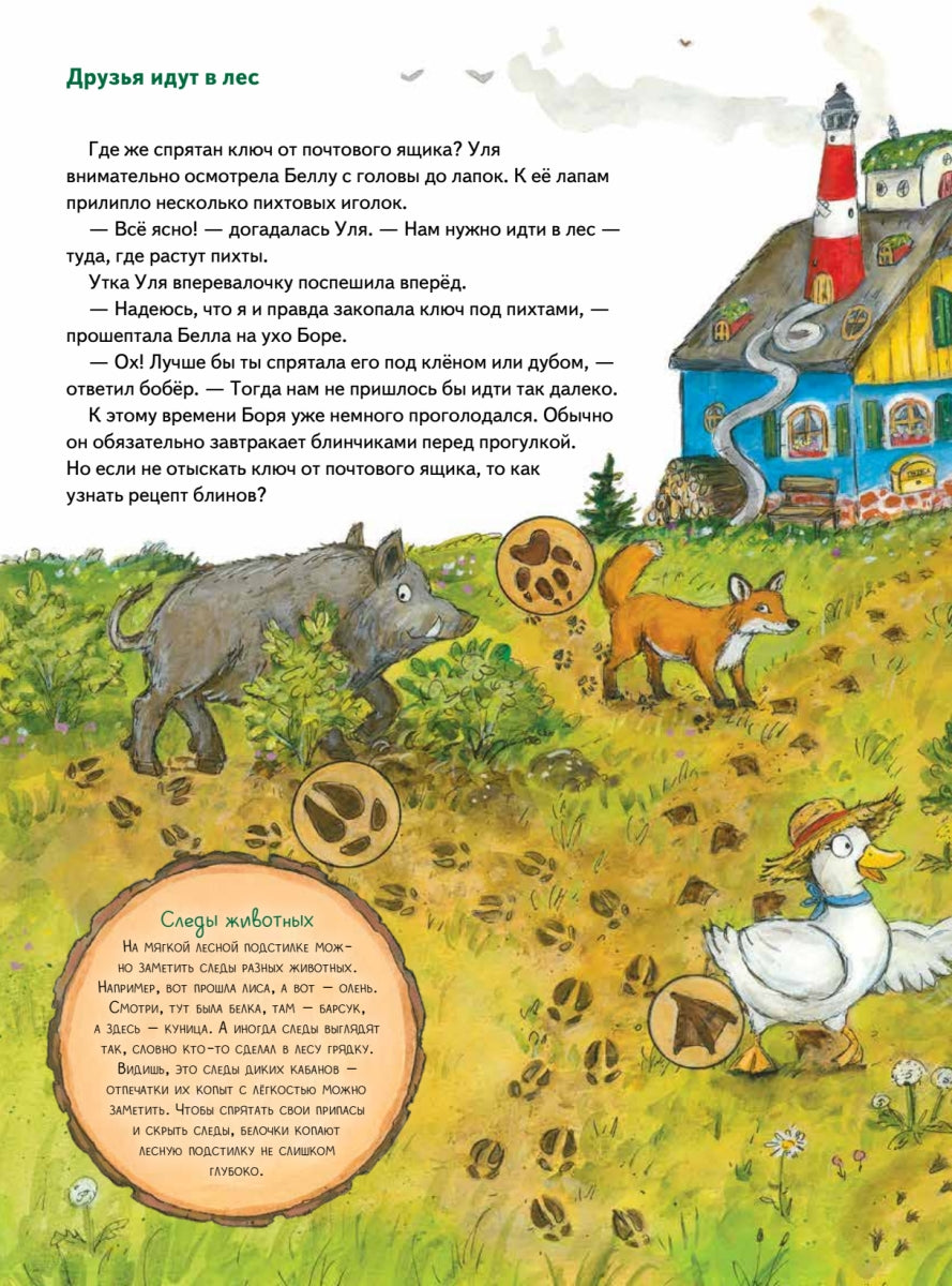 Бобёр Боря-следопыт! Кто прячется в лесу? Книжка подготовишки. Инга Рамке