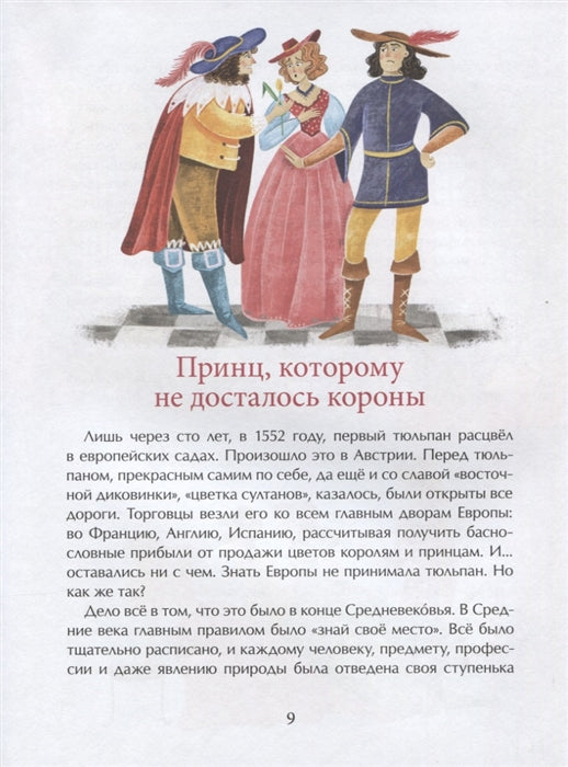 Тюльпан. Цветок султанов и мельников. Н. Назаркин