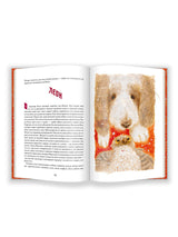 Заяц на взлётной полосе. Юлия Симбирская