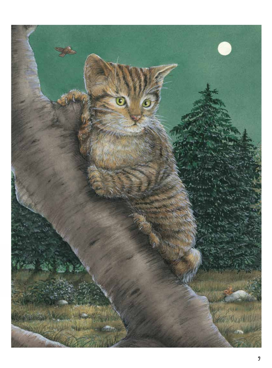 Моя самая красивая книга о кошках и собаках. Сюзанна Риха