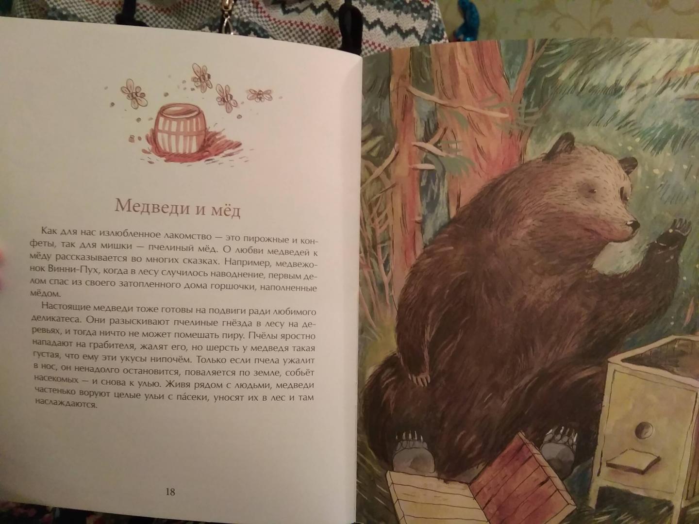 Мишка. Самый русский зверь. Д. Лапшина