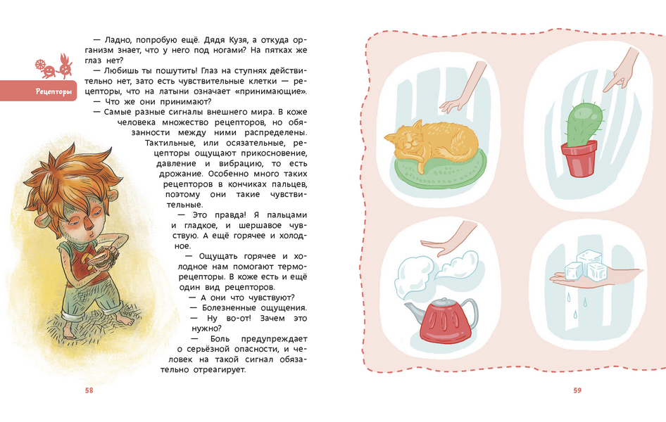 Как устроен человек. Детские энциклопедии с Чевостиком (Paperback). Елена Качур