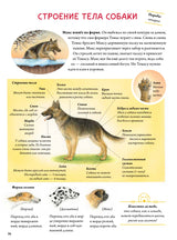 Моя самая красивая книга о кошках и собаках. Сюзанна Риха