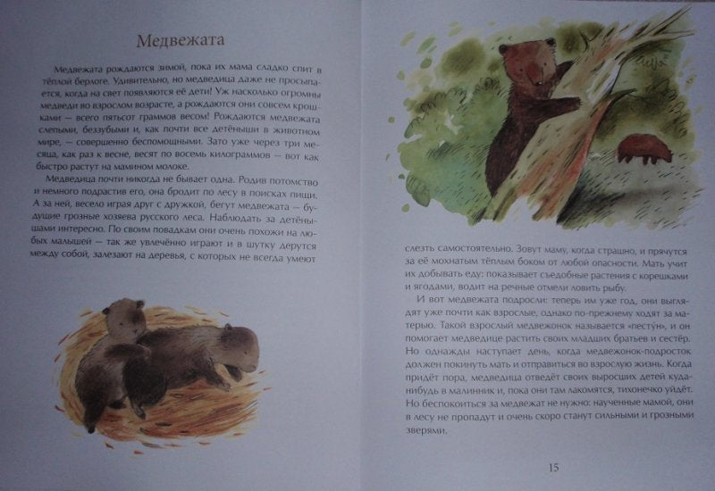 Мишка. Самый русский зверь. Д. Лапшина