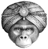 Правда о Салли Джонс. Якоб Вегелиус