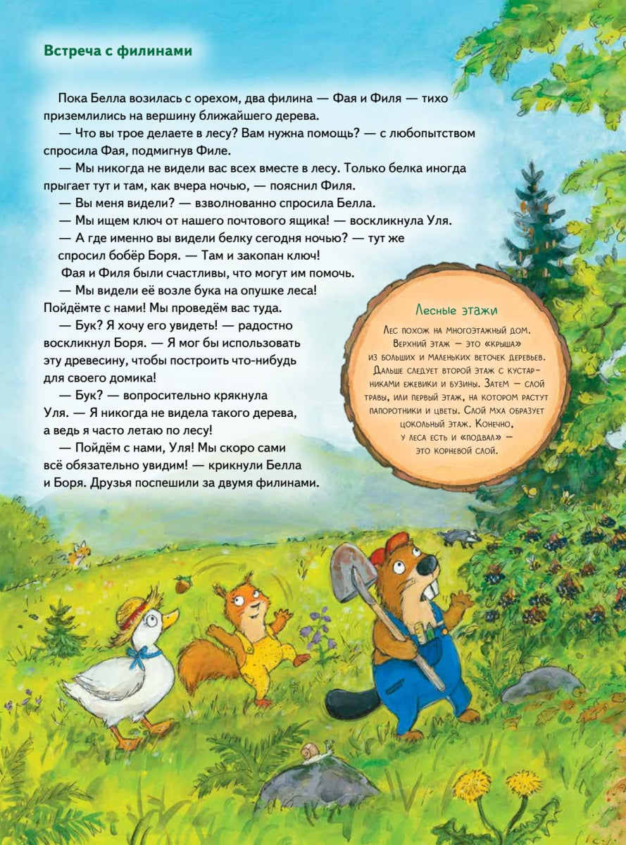 Бобёр Боря-следопыт! Кто прячется в лесу? Книжка подготовишки. Инга Рамке