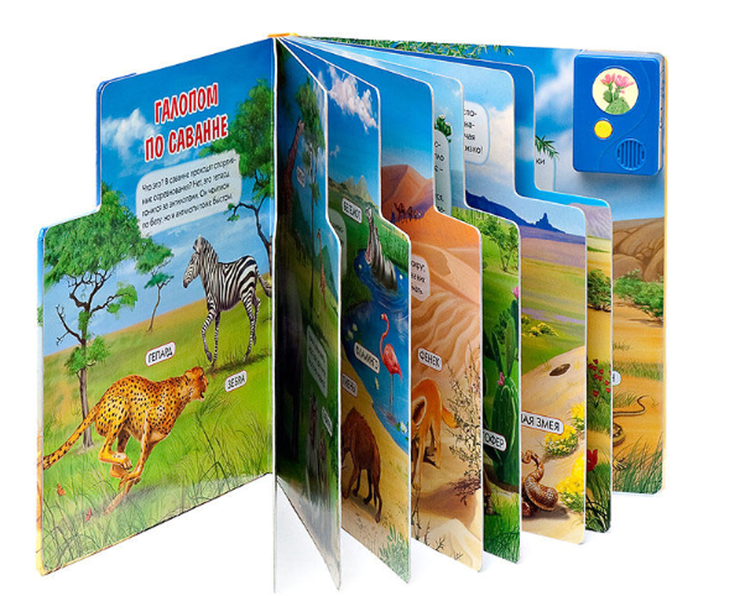 Чей дом саванна и пустыня?