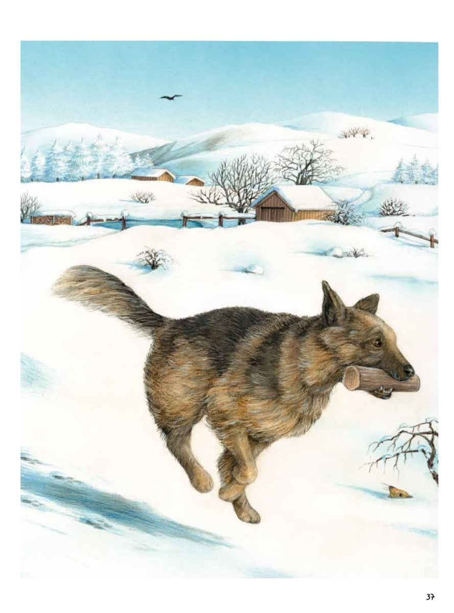 Моя самая красивая книга о кошках и собаках. Сюзанна Риха