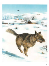 Моя самая красивая книга о кошках и собаках. Сюзанна Риха