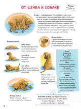 Моя самая красивая книга о кошках и собаках. Сюзанна Риха