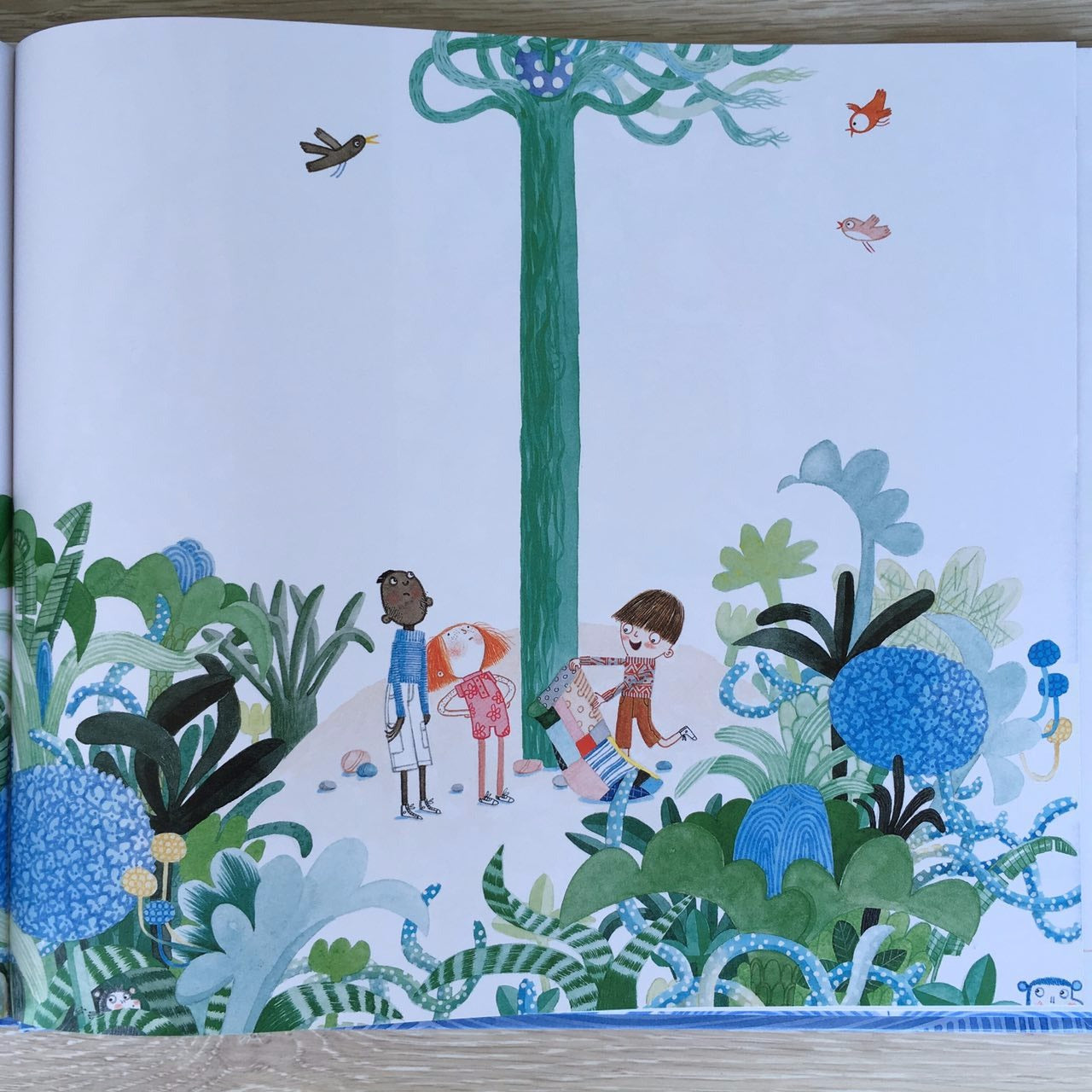 Джек и дерево Флумбрикос. Джулия Дональдсон