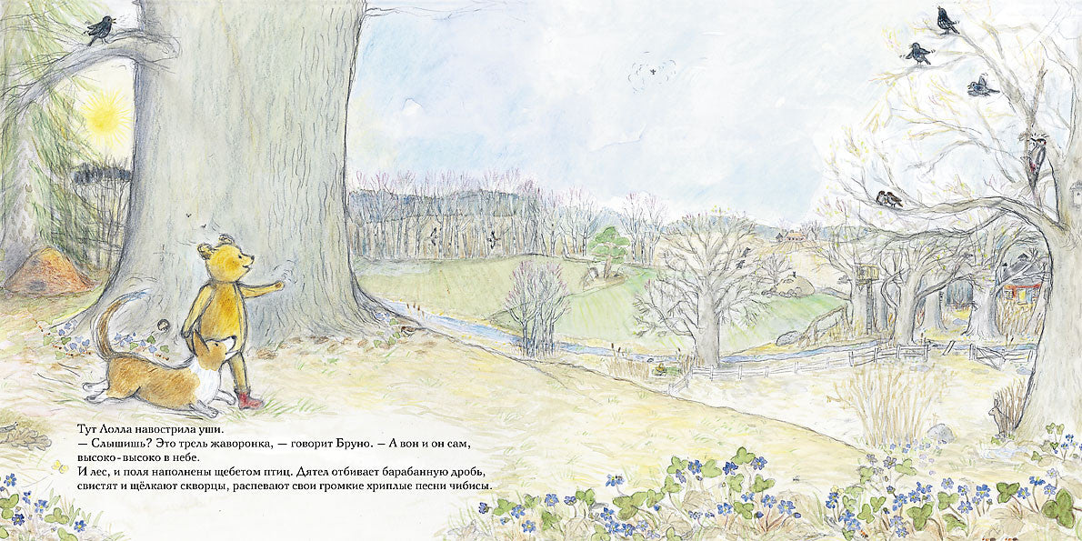 Весна мишки Бруно. Ингвес Гунилла