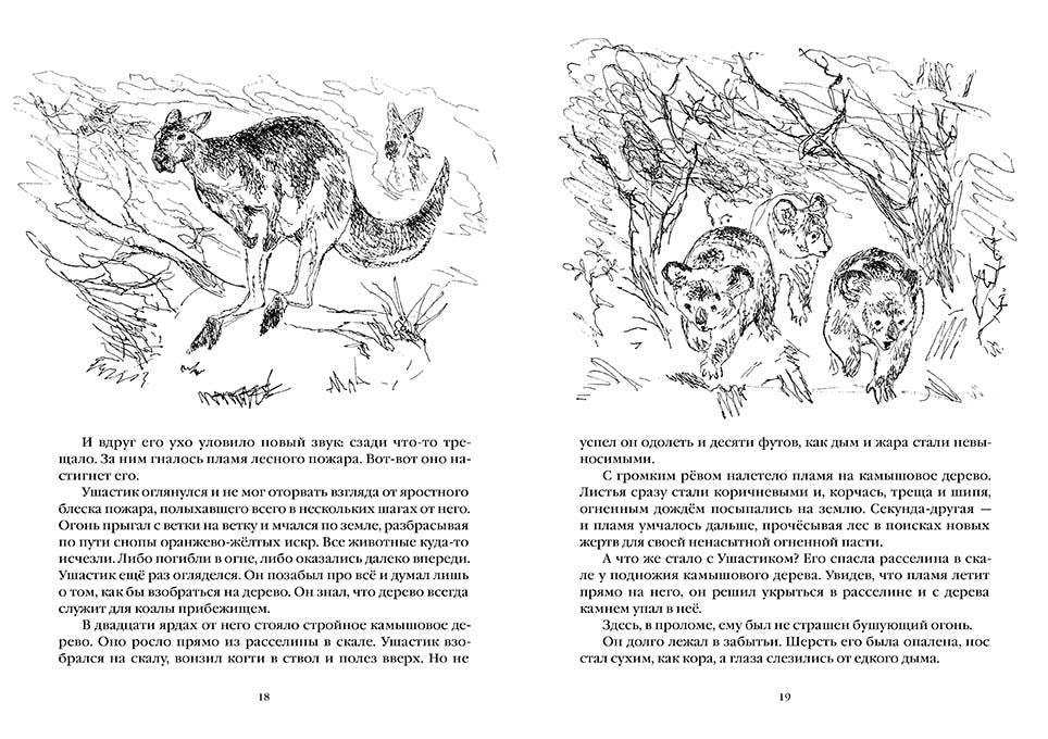 Про коалу Ушастика, утконоса Тихоню и других. Риис Лесли