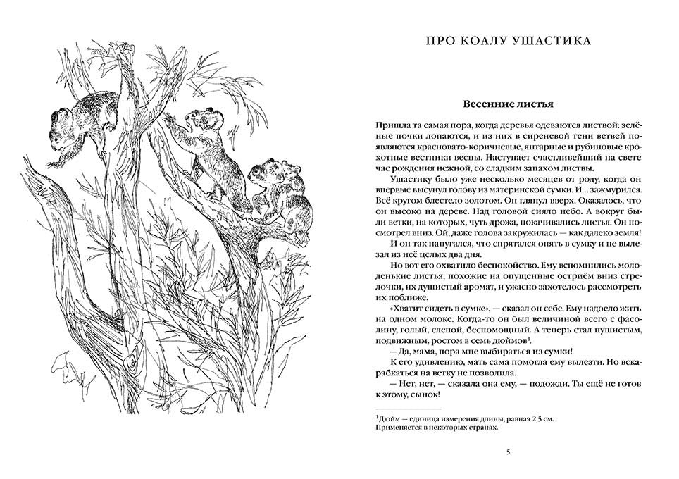 Про коалу Ушастика, утконоса Тихоню и других. Риис Лесли