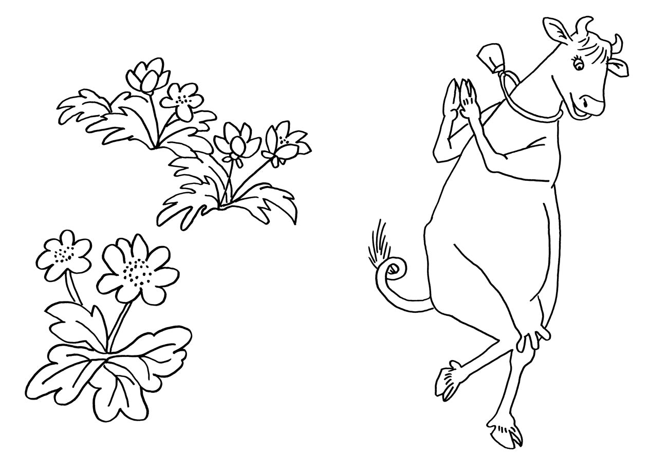 Мама Му и Кракс. Первая раскраска. Юя Висландер, Свен Нурдквист