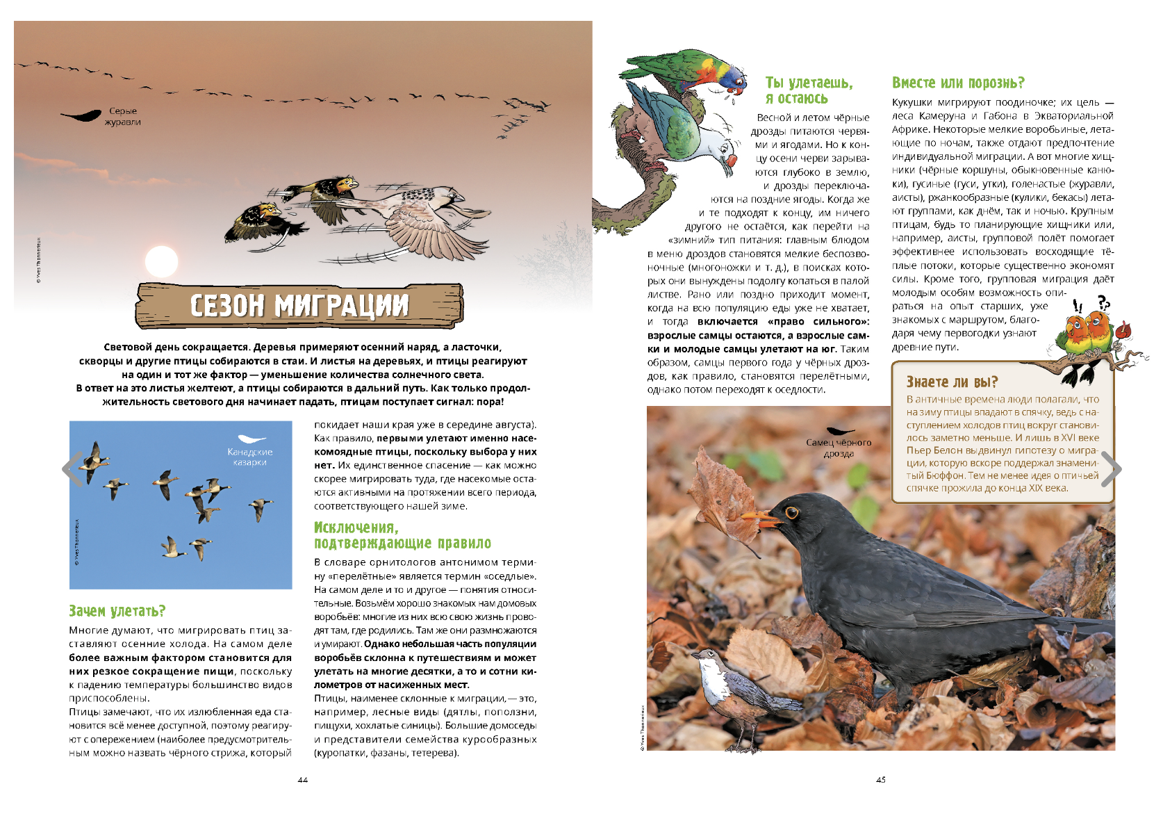 Птицы в комиксах. Том 3. Жан-Люк Гаррера, Мишель Мира Пон