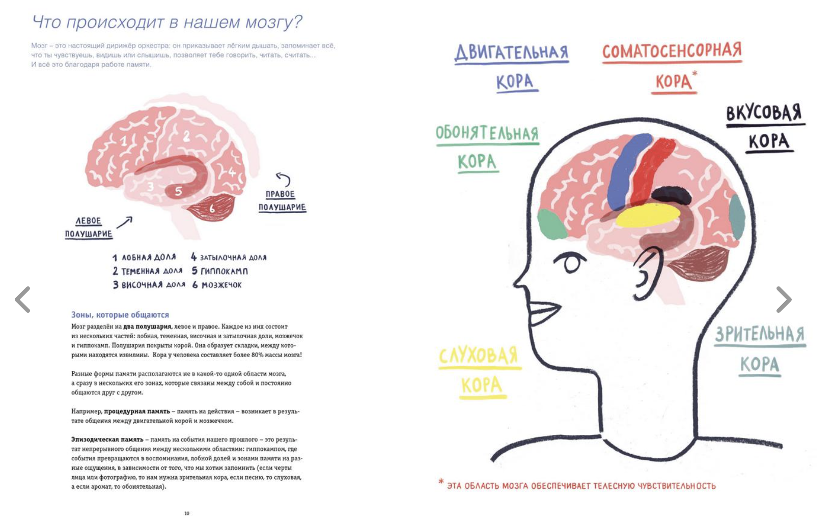 Вопросы памяти. Мишель Мира Пон