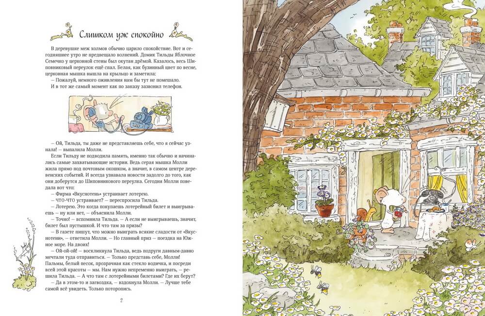 Тильда Яблочное Семечко. Погоня за удачей. Андреас Х. Шмахтл