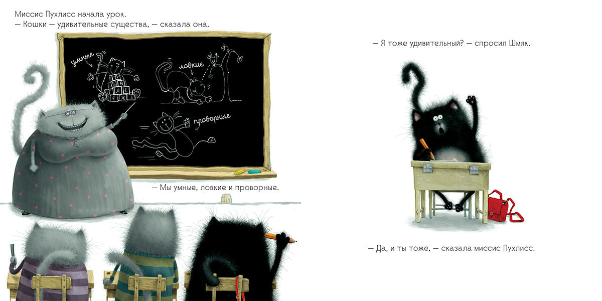 Котёнок Шмяк. Скоттон Роб