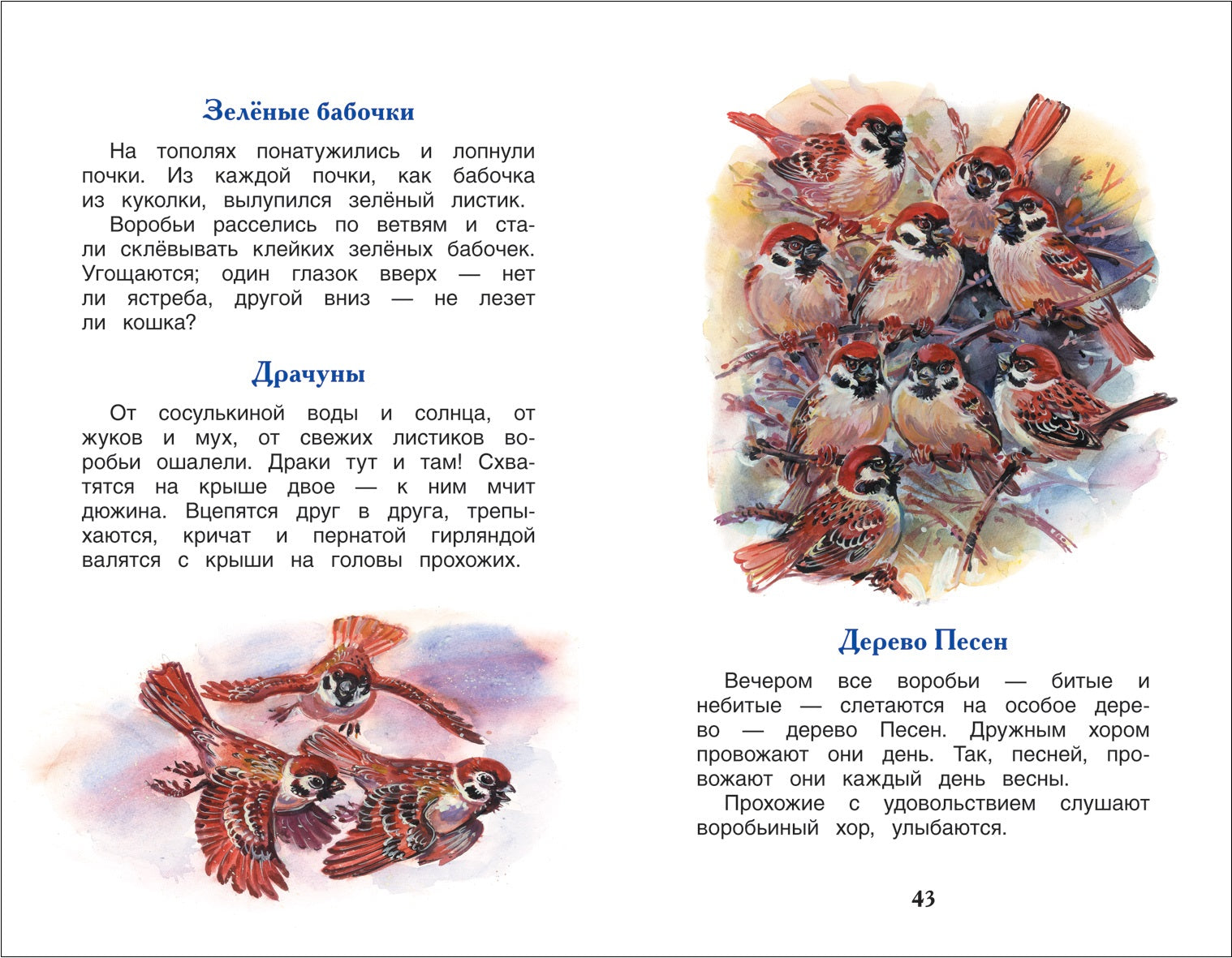 Лесные сказки. Сладков Н. Внеклассное чтение