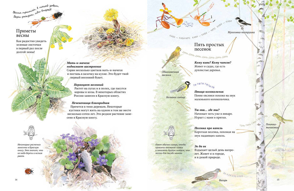 Экспедиция Софи. Стефан Каста, Бу Мосберг