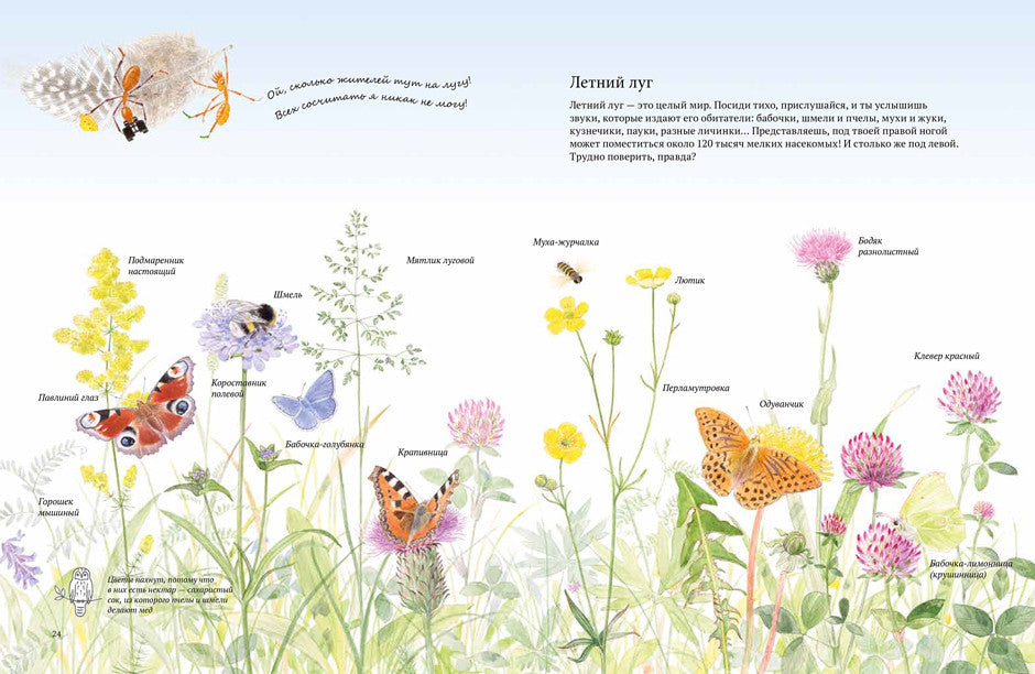 Экспедиция Софи. Стефан Каста, Бу Мосберг