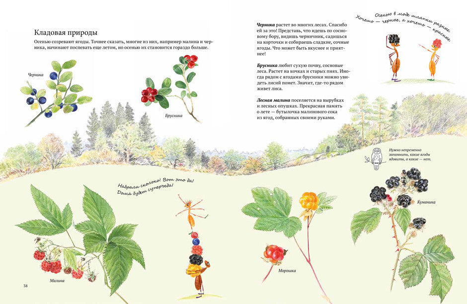 Экспедиция Софи. Стефан Каста, Бу Мосберг