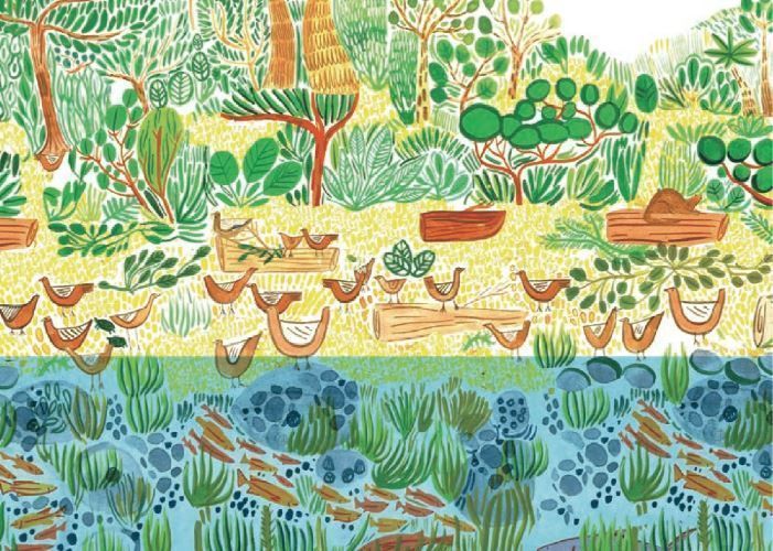 На грани исчезновения. Книжка-искалка о вымирающих видах животных. Изабелла Баннелл