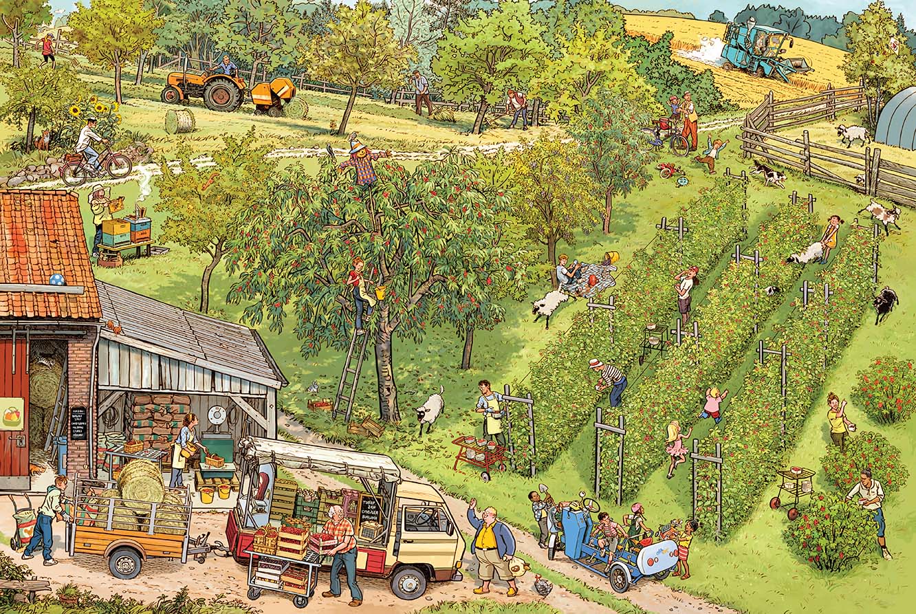 Фермерский рынок. История в картинках. Гёбель Доро, Кнорр Петер