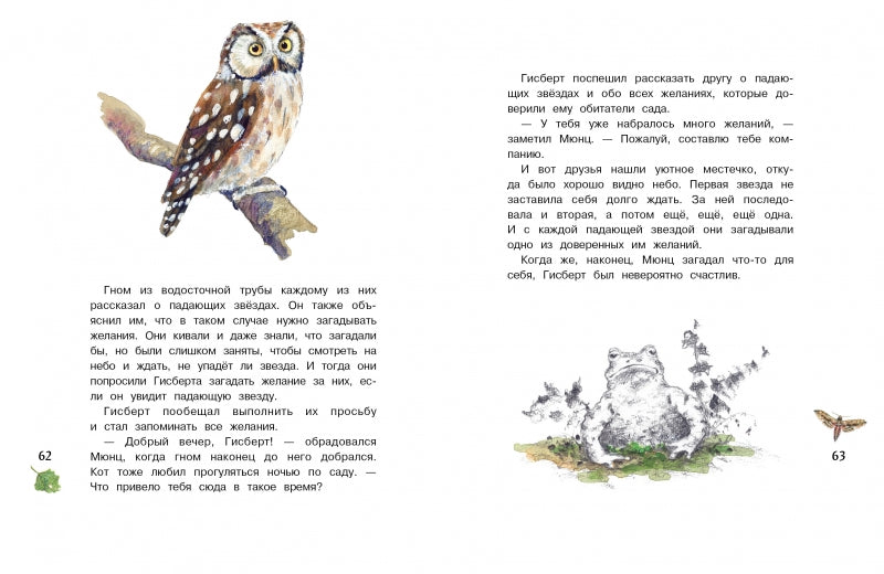 Гном из водосточной трубы. Журчащий ручеек. Дрэшер Даниэла. Бестселлер для детей