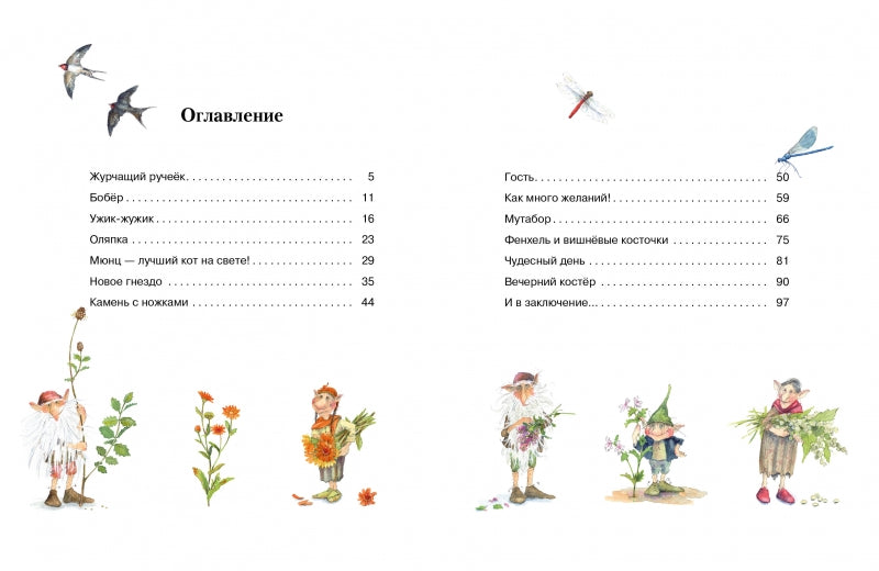 Гном из водосточной трубы. Журчащий ручеек. Дрэшер Даниэла. Бестселлер для детей
