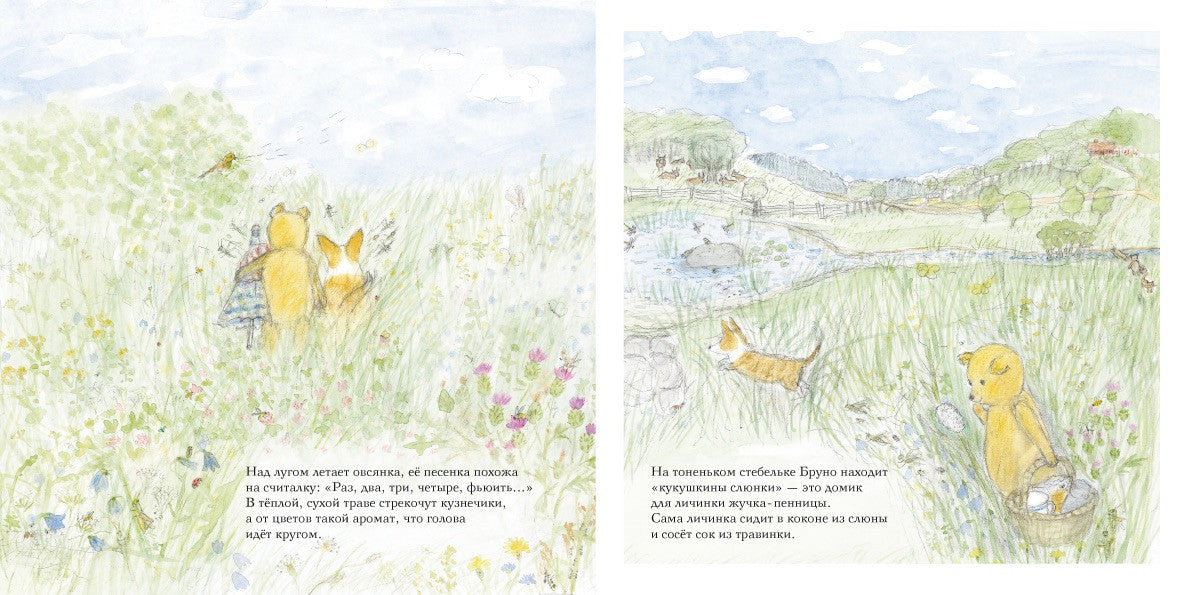 Лето мишки Бруно. Ингвес Гунилла