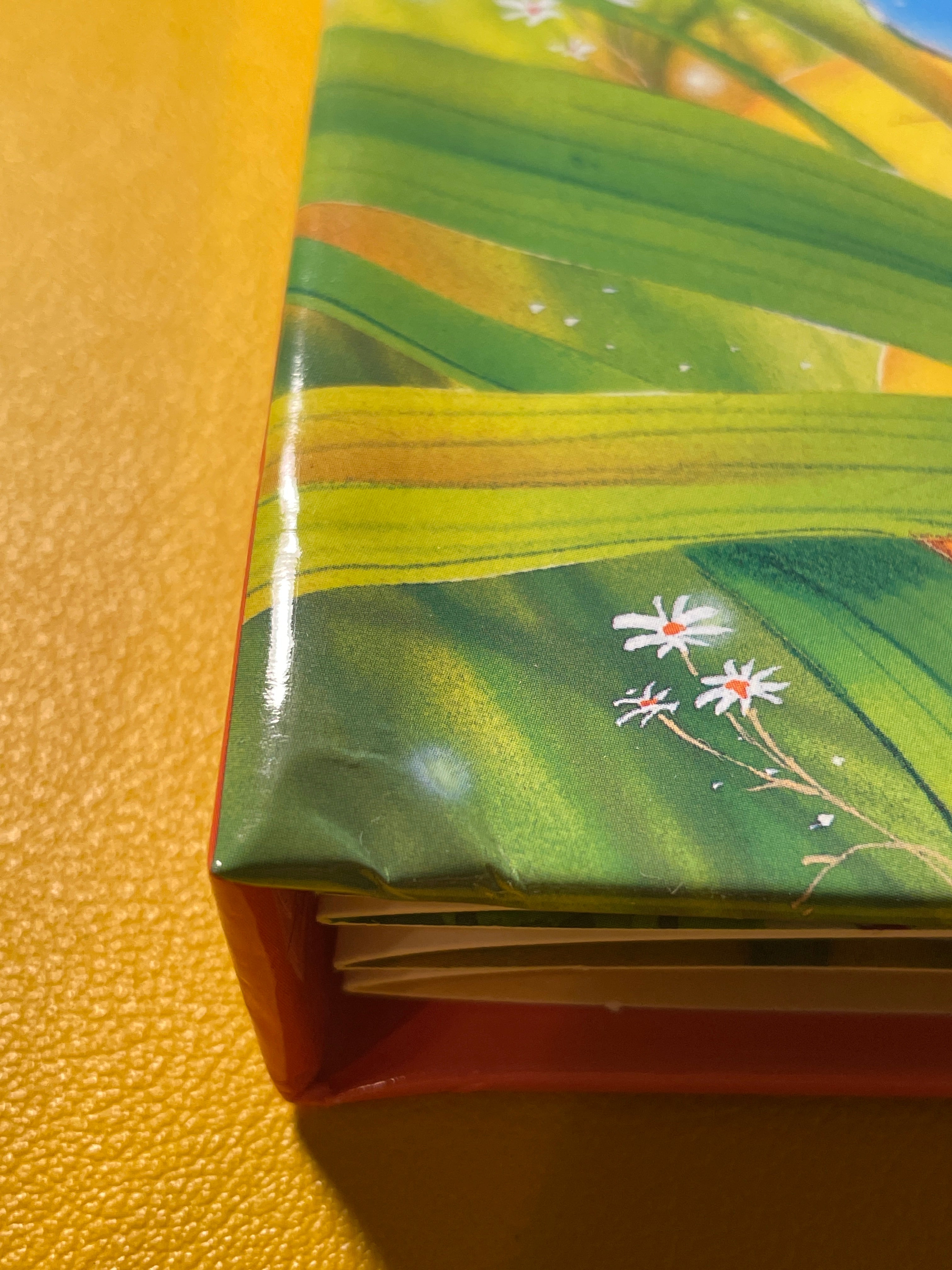 Бабочка и ее друзья. Панорамка.