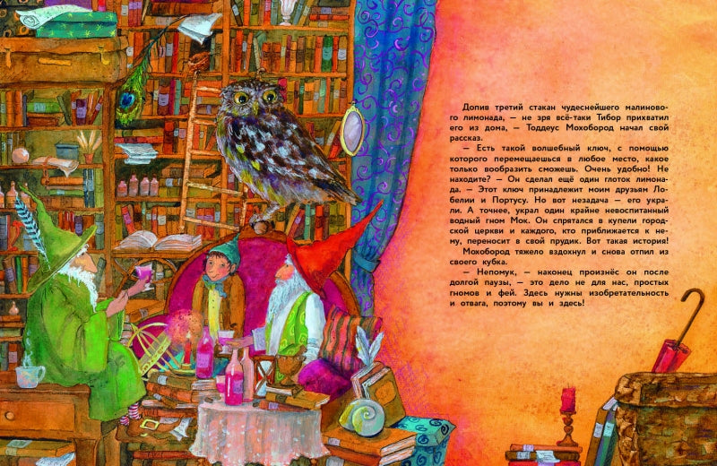 Гномы и волшебный лимонад. Даниэла Дрешер. Серия ДХЛ