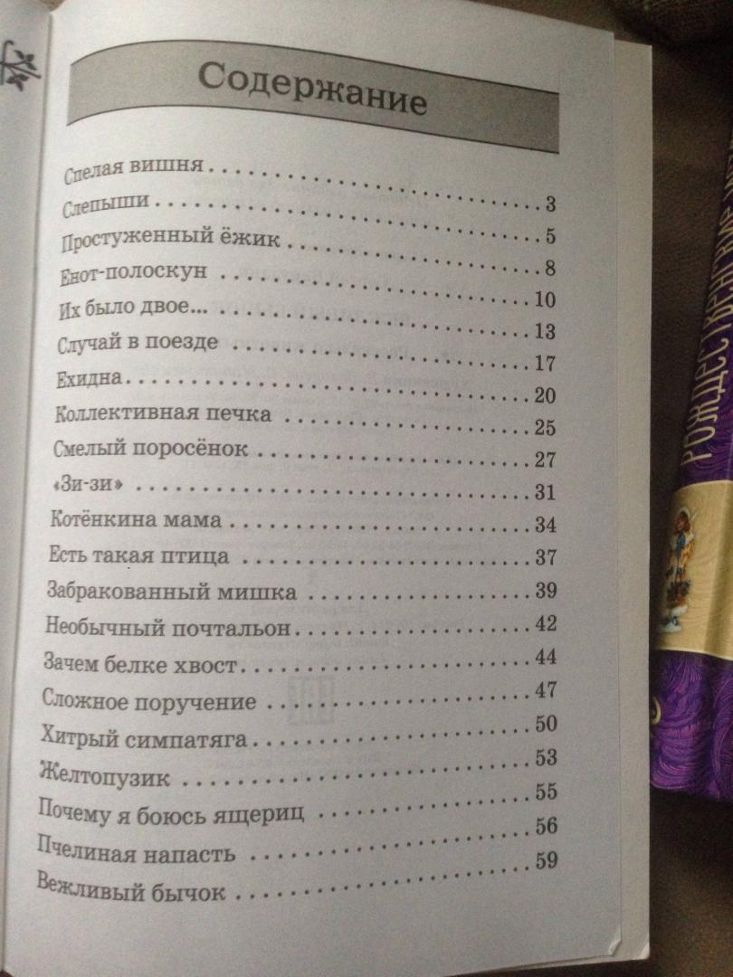 Вежливый бычок. Сергей Баруздин. Внеклассное чтение