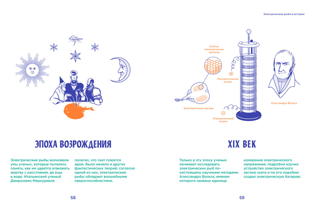 Электрические рыбы. Эрик Харви-Жирар