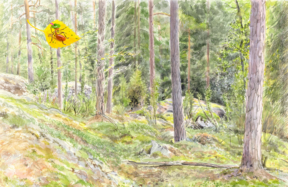 Софи в мире грибов. Стефан Каста, Бу Мосберг