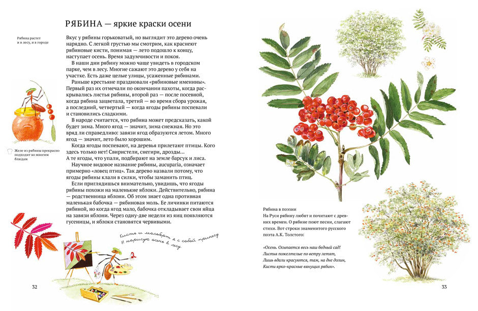 Софи в мире ягод. Стефан Каста, Бу Мосберг