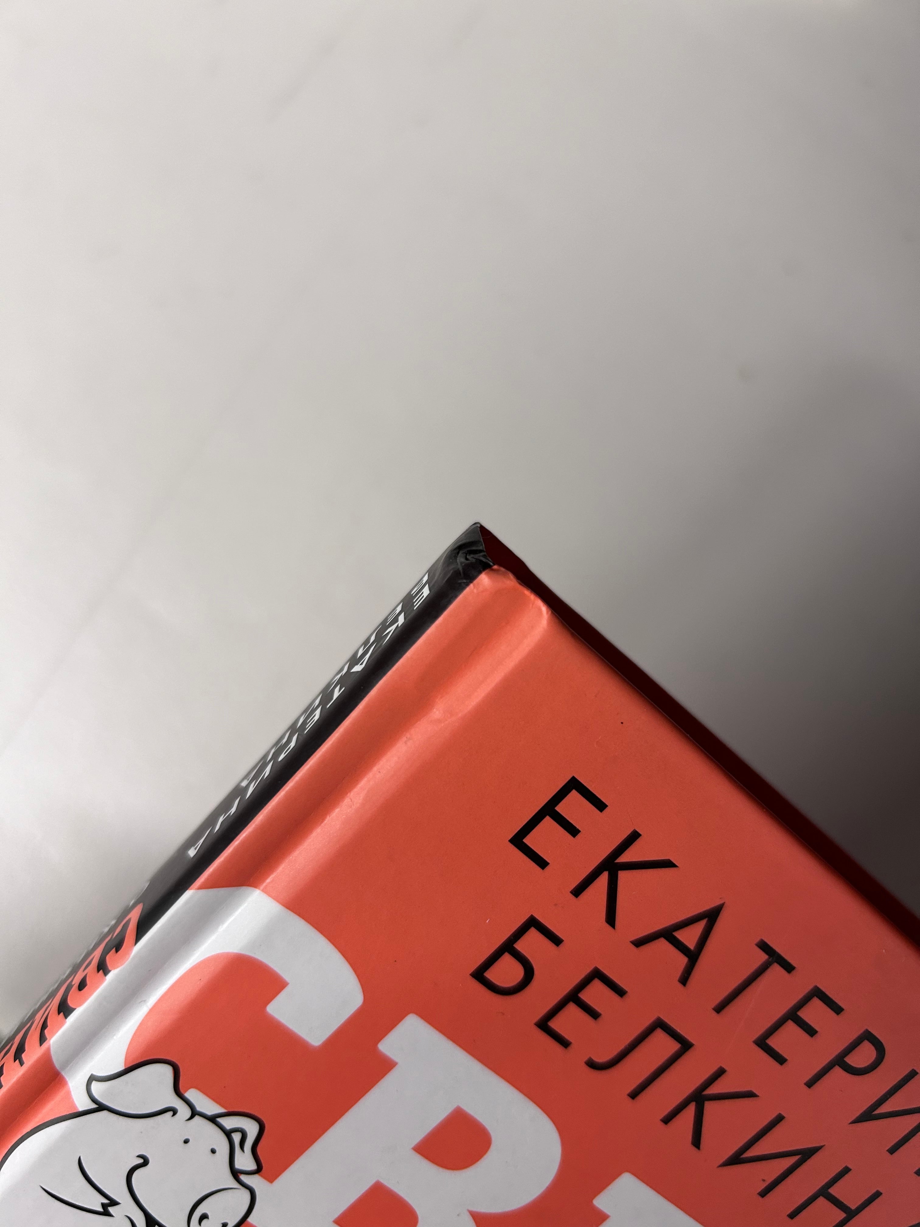 УЦЕНКА. Свинкины финансы: о жизни и экономике доступно и просто. Белкина Е. С.