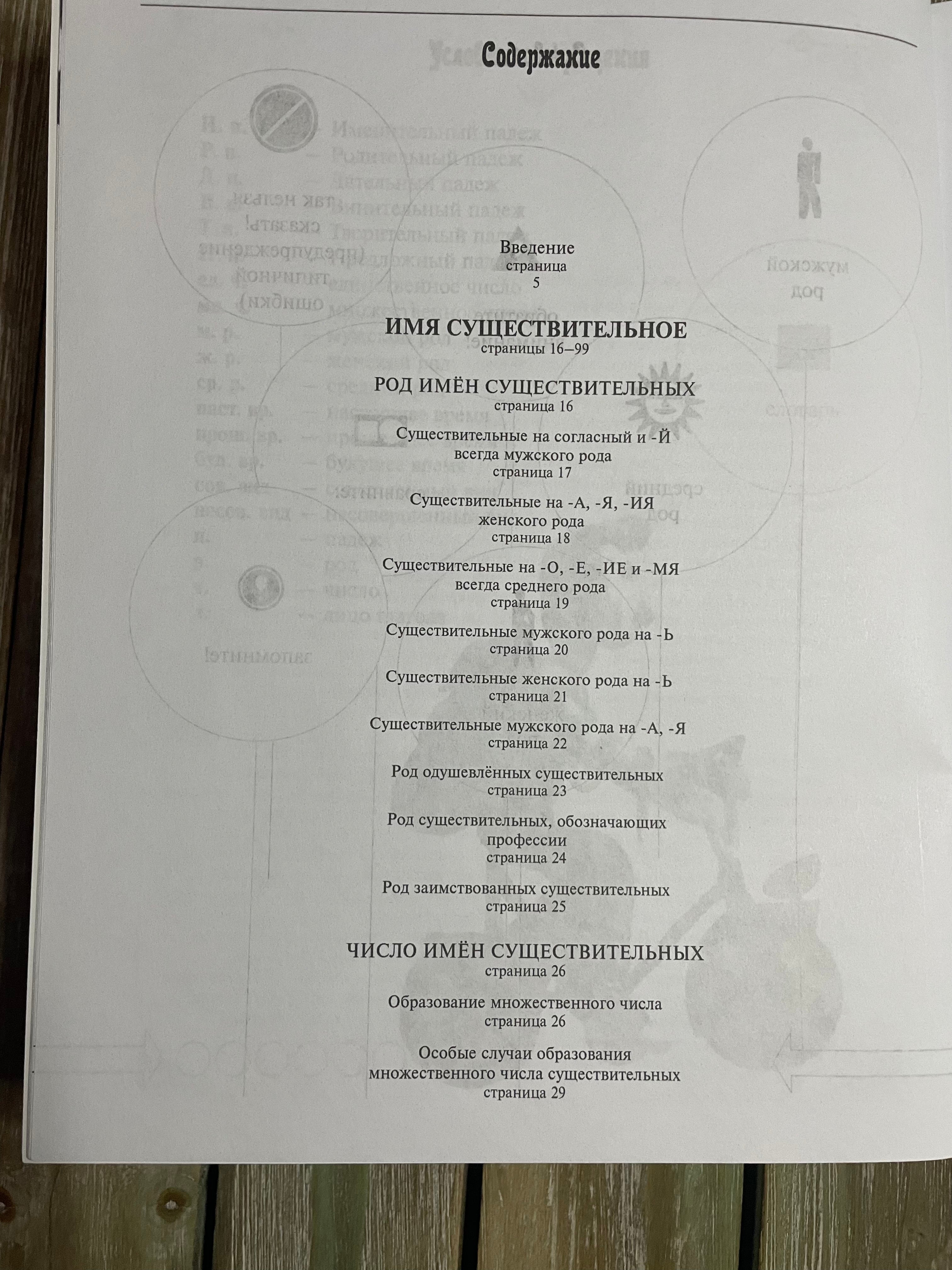 Грамматика русского языка в иллюстрациях К. И. Пехливанова, М. Н. Лебедева