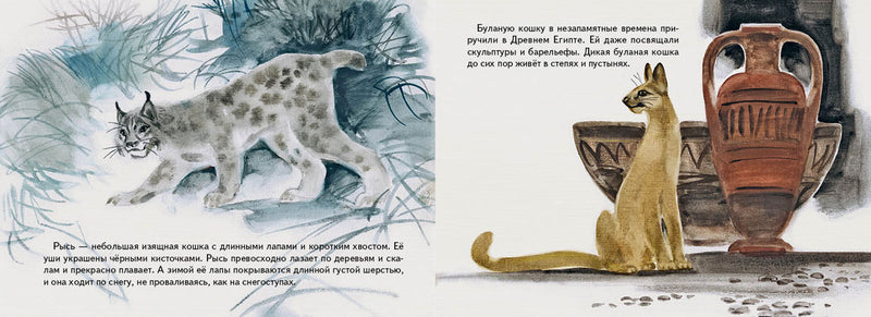 Дикие кошки. Смирнова Ольга