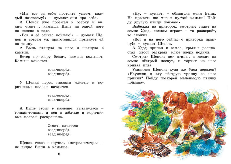Где раки зимуют. Сказки и рассказы. Виталий Бианки