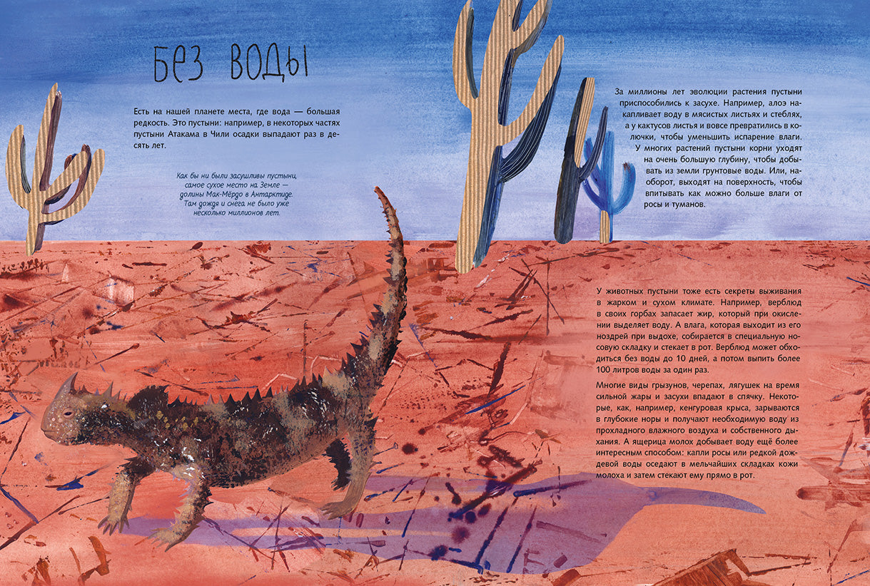 Вода. Фадеева Ольга