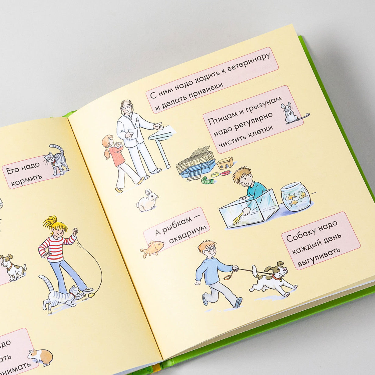 Учусь читать с Конни. Кот и мышь в школе. Юлия Бёме