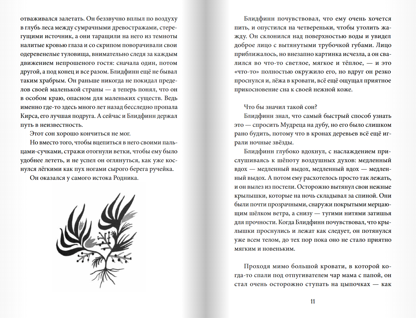 Блидфинн. Четыре путешествия в неизвестность. Торвальд Торстейнссон