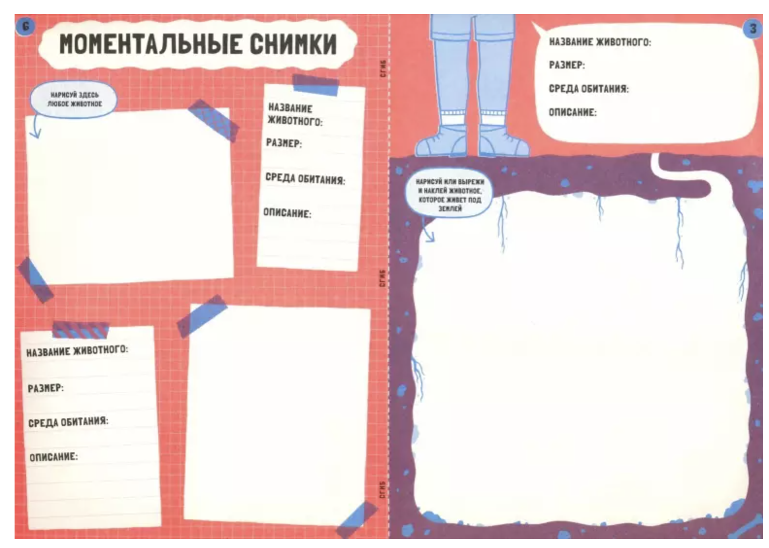 Сам себе издатель! 10 мини-журналов своими руками.  Бажински Кристина