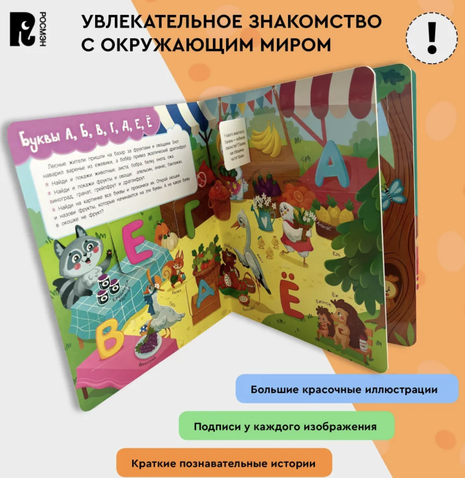 Книги с окошками. Азбука. Котятова Наталья Игоревна
