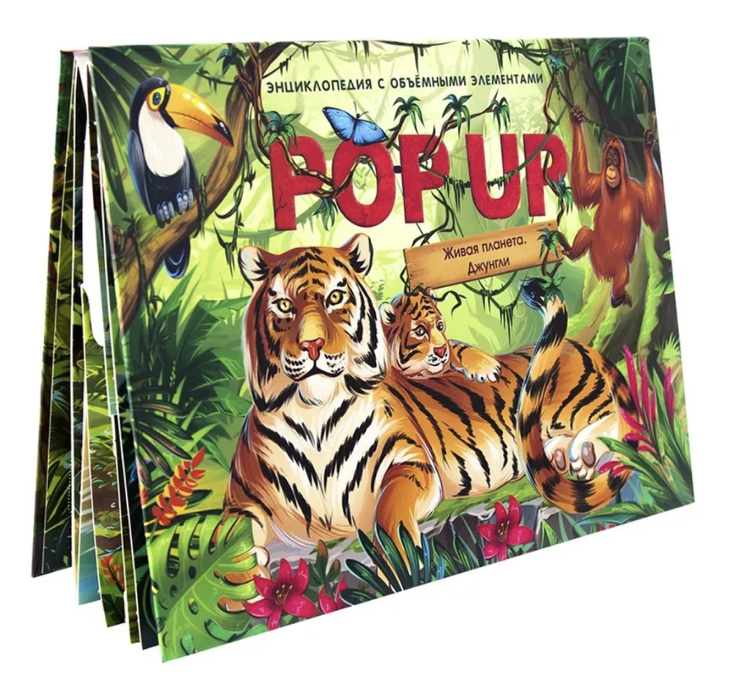 Джунгли. Энциклопедия Pop up. Книжка-панорамка